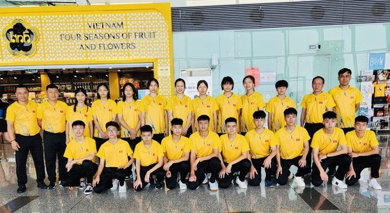 Conquista Vietnam medalla dorada en Torneo juvenil de tenis de mesa regional hinh anh 1