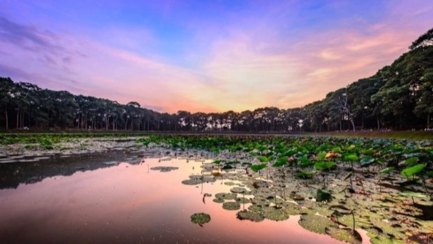 Delta del Mekong reconoce otros dos destinos turisticos tipicos hinh anh 1