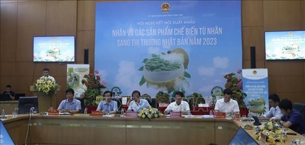 Provincia de Vietnam promueve exportacion de longan a Japon hinh anh 2