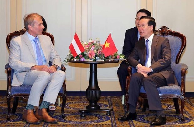 Presidente vietnamita recibe al titular de la Asociacion de Amistad Austria-Vietnam hinh anh 2