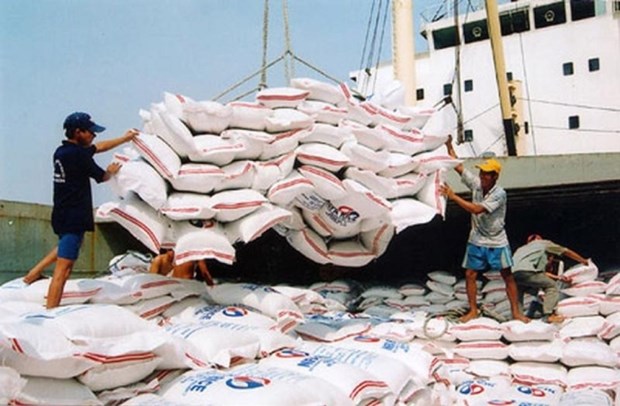 Alcanzan precios de arroz exportable de Vietnam nivel record en 15 anos hinh anh 1