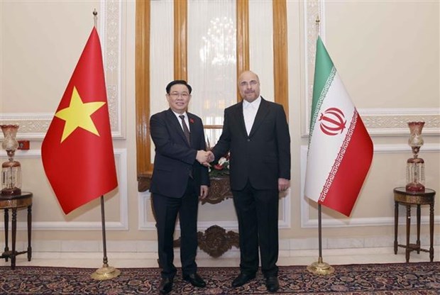 Vietnam e Iran acuerdan medidas para fortalecer nexos parlamentarios hinh anh 1