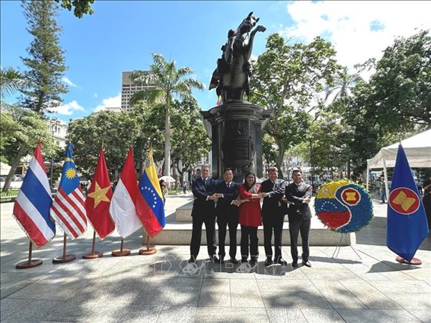 Conmemoran fundacion de ASEAN en distintos paises del mundo hinh anh 1