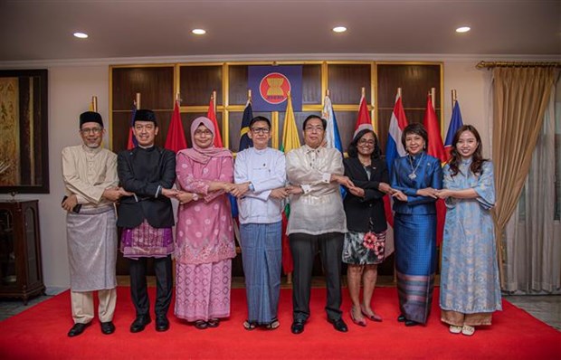 Conmemoran fundacion de ASEAN en distintos paises del mundo hinh anh 4
