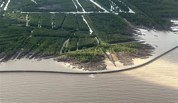 Premier realiza inspeccion en zonas de erosion en delta del Mekong hinh anh 2