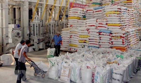 Vietnam busca garantizar equilibrio entre exportacion y consumo de arroz hinh anh 1