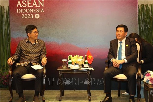 Vietnam e Indonesia promueven cooperacion economica y comercial hinh anh 2