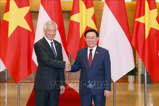 Singapur dispuesto a apoyar a Vietnam en desarrollo de energia renovable hinh anh 1