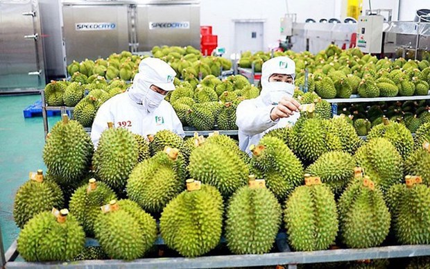 Vietnã trabalha para aumentar as exportações de frutas hinh anh 2