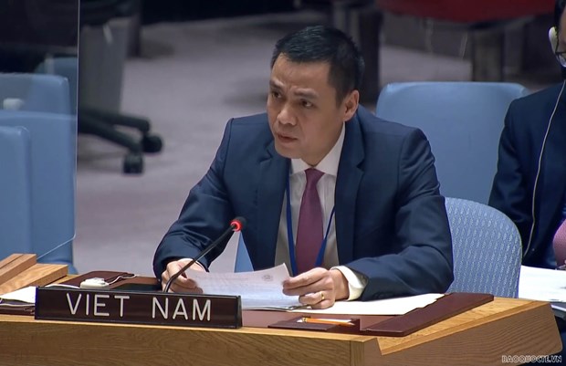 Vietnam participa activamente en el trabajo comun de las Naciones Unidas hinh anh 2