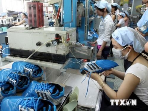 Vietnam juega un papel importante en cadenas de suministro de Adidas y Nike hinh anh 1