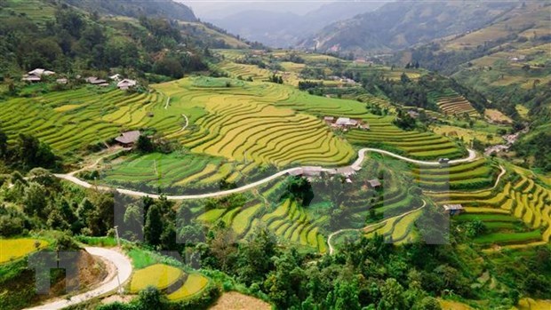 Programa de viajes promueve las terrazas del arroz de Hoang Su Phi hinh anh 1