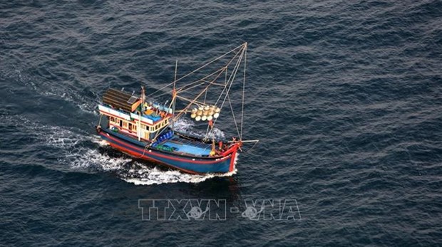 Vietnam refuerza soluciones contra la pesca ilegal hinh anh 1