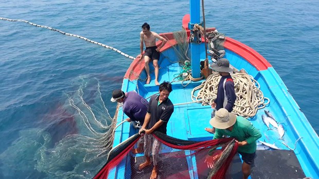 Vietnam refuerza soluciones contra la pesca ilegal hinh anh 2