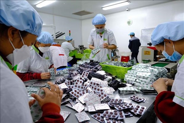 Aprueba Vietnam estrategia de desarrollo de industria farmaceutica hasta 2030 hinh anh 2