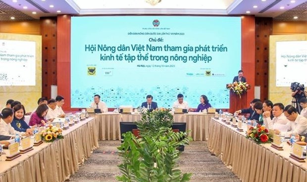 Estimulan aportes de agricultores a economia colectiva de Vietnam hinh anh 1