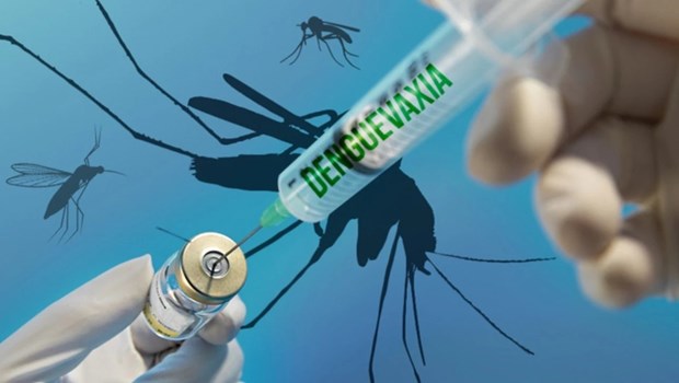 Participara Vietnam en pruebas de vacuna japonesa contra el dengue hinh anh 1