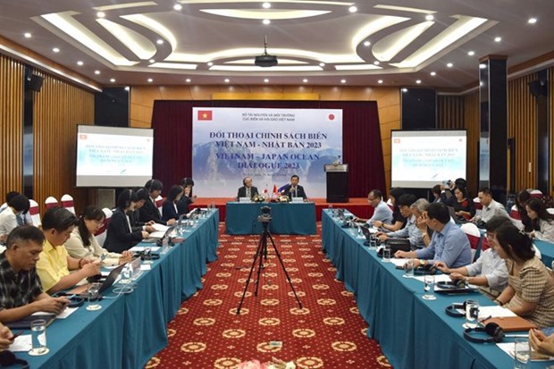 Analizan eficiencia de lazos Vietnam- Japon en campo de politicas de mares hinh anh 1