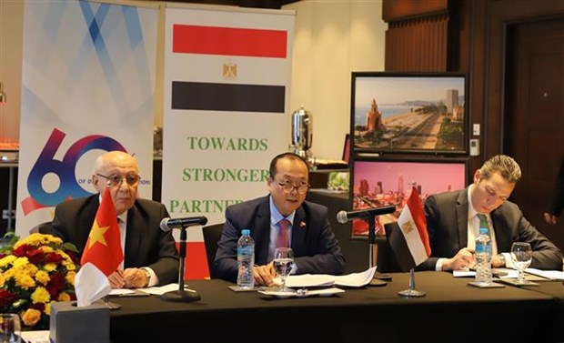 Vietnam y Egipto intercambian experiencias para atraer financiamiento verde hinh anh 1