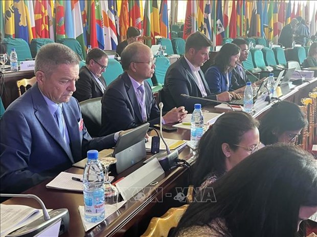 Vietnam participa en Conferencia Ministerial de la Francofonia en Camerun hinh anh 1