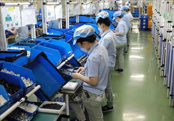 Vietnam cuenta con gran potencial para industria de semiconductores hinh anh 2