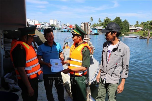 Provincias vietnamitas se enfrascan en combatir la pesca ilegal hinh anh 1