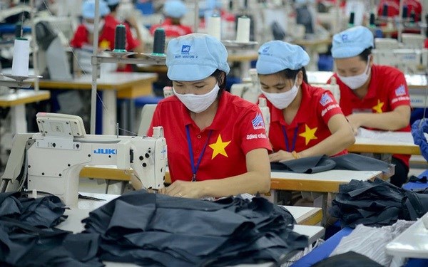 Empresas vietnamitas necesitan adoptar pacto verde europeo hinh anh 1