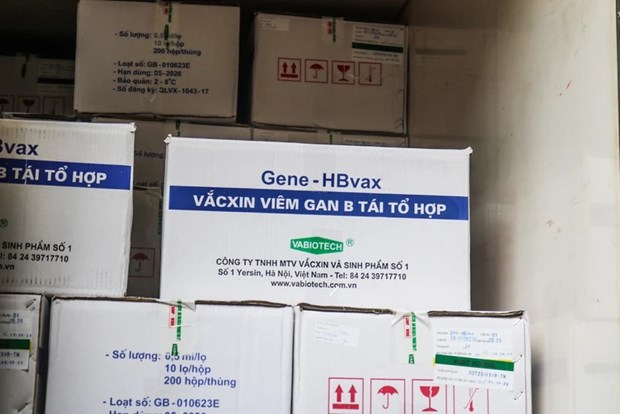 Vietnam importa suficientes vacunas para programa de inmunizaciones 2024 hinh anh 1