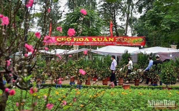 Festival de Primavera 2024 tendra lugar en Hanoi hinh anh 1