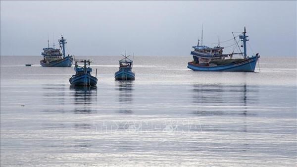 Guardia costera vietnamita fomenta lucha contra explotacion ilegal de productos del mar hinh anh 1