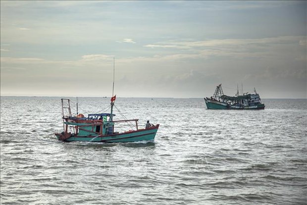 Mejoran conciencia de pescadores vietnamitas sobre la IUU hinh anh 1