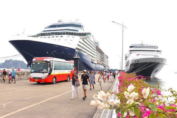 Provincia de Quang Ninh recibira 60 cruceros turisticos internacionales en 2024 hinh anh 1
