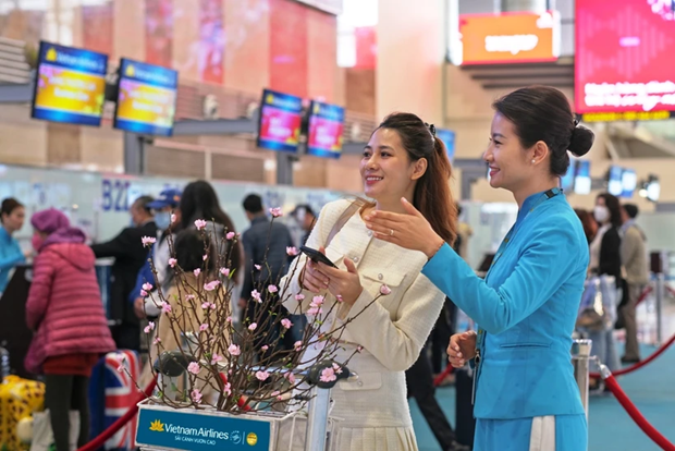 Vietnam Airlines transporta flores de albaricoque y melocoton en ocasion del Tet hinh anh 1