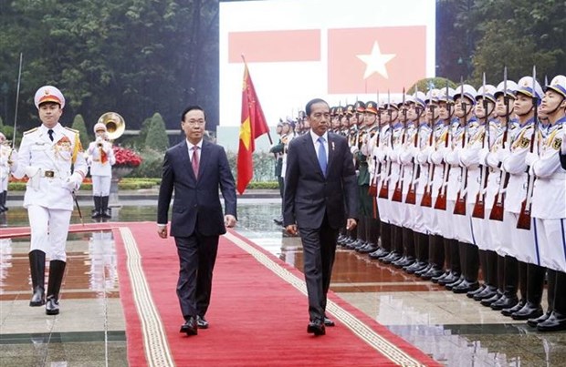 Vietnam e Indonesia acuerdan fortalecer asociacion estrategica bilateral hinh anh 1