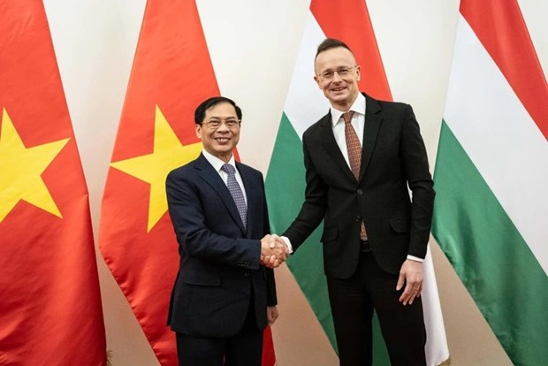 Promueven cooperacion diplomatica entre Vietnam, Hungria y Rumania hinh anh 2