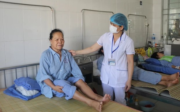 Vietnam y Francia cooperan en gestion de enfermedades cronicas hinh anh 1