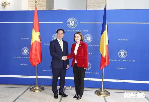 Promueven cooperacion diplomatica entre Vietnam, Hungria y Rumania hinh anh 1