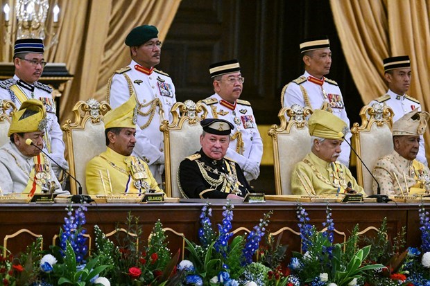 Sultan Ibrahim Iskandar juramentado como nuevo rey de Malasia hinh anh 1
