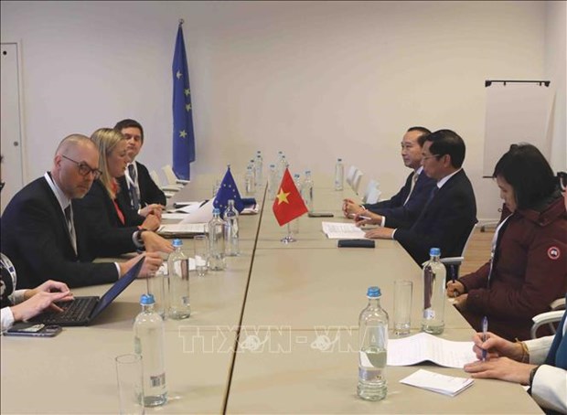 Diretrizes para a cooperação entre o Vietnã e outros países discutidas hinh anh 2