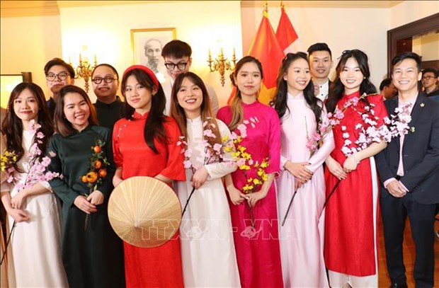 Vietnamitas en el extranjero celebran encuentros por el Ano Nuevo Lunar hinh anh 3