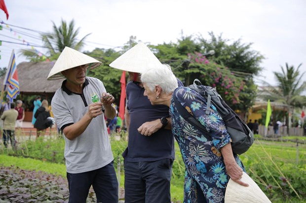 Turistas experimentan cultivo de verduras en aldea centenaria hinh anh 2
