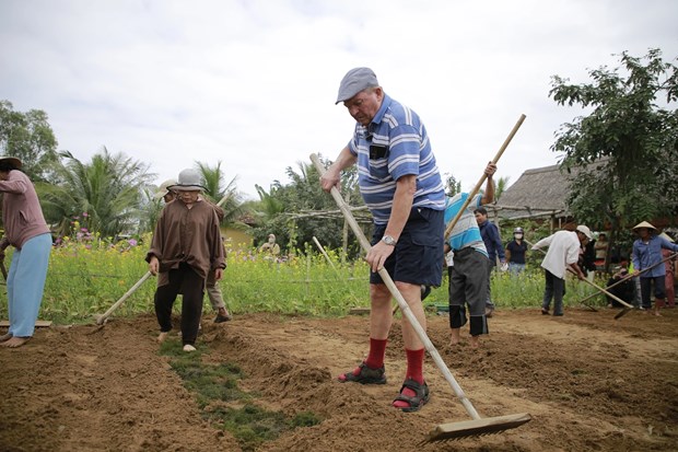 Turistas experimentan cultivo de verduras en aldea centenaria hinh anh 1