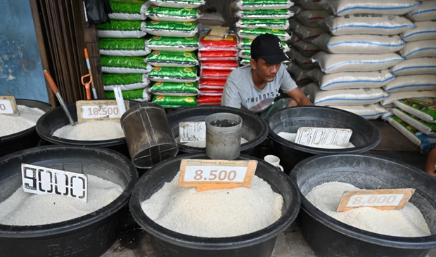 Indonesia garantiza suficiente suministro de alimentos durante el mes del Ramadan hinh anh 1