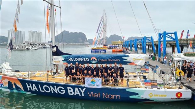 Clipper Race: Vietnam atraca en puerto de cruceros Ha Long en quinto lugar hinh anh 1