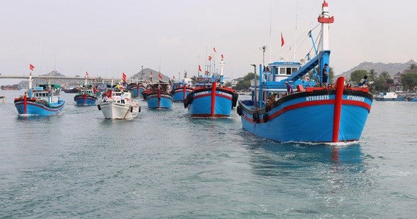 Quang Nam por desarrollar economia maritima moderna y sostenible hinh anh 1
