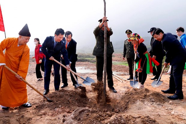 Lanzan campana de plantacion de arboles para impulsar el desarrollo sostenible en Vietnam hinh anh 1