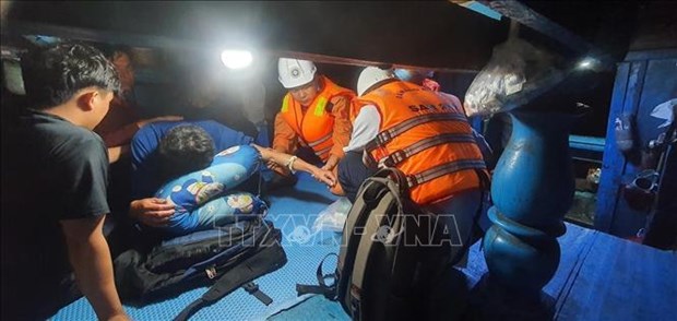 Rescatan a pescador enfermo en el mar de Vietnam hinh anh 1