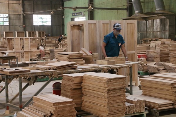 EE.UU. amplia investigaciones sobre armarios de madera procedentes de Vietnam hinh anh 1