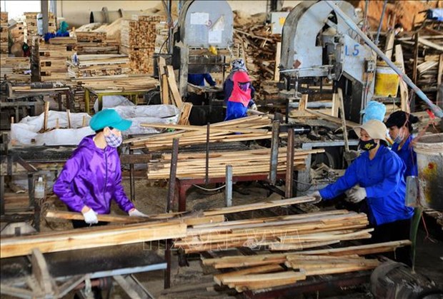 Vietnam por crear area estable de materias primas para industria de procesamiento maderero hinh anh 1