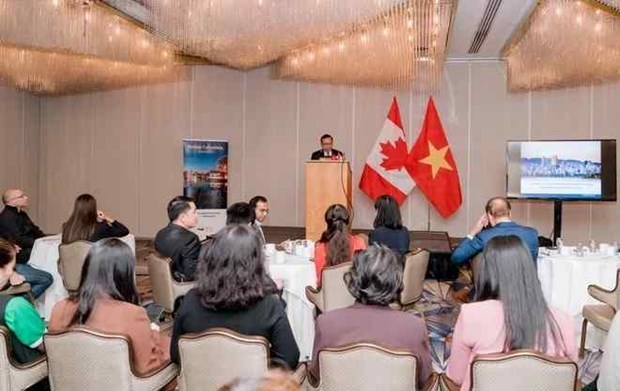 Vietnam y Canada fortalecen lazos comerciales y de inversion hinh anh 1